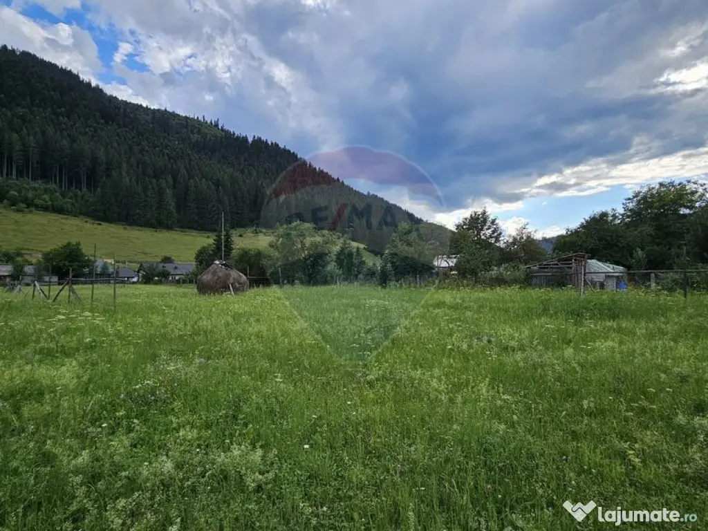 Casa 225 mp, teren intravilan 4822 mp C. Moldovenesc, Suc... 