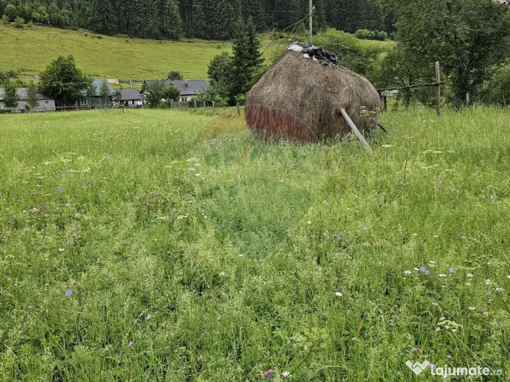 Casa 225 mp, teren intravilan 4822 mp C. Moldovenesc, Suc... 