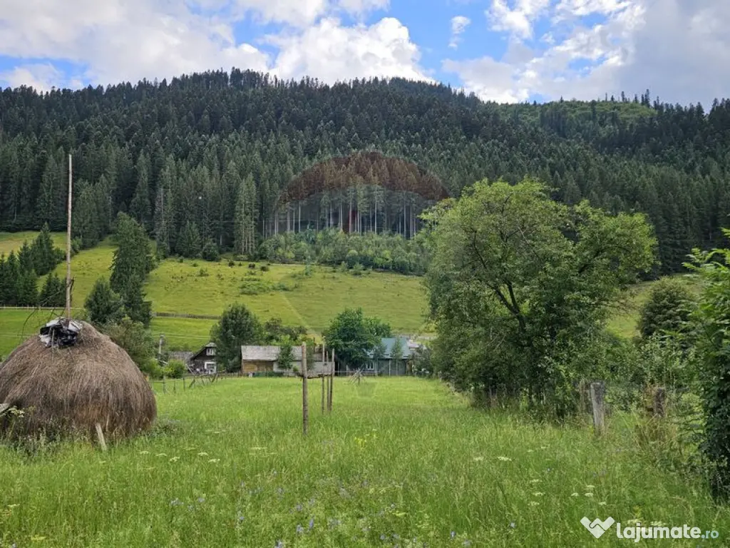 Casa 225 mp, teren intravilan 4822 mp C. Moldovenesc, Suc... 