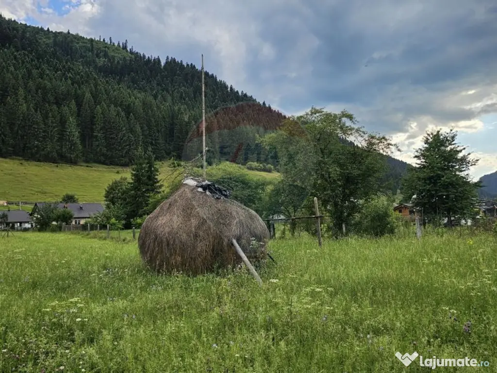 Casa 225 mp, teren intravilan 4822 mp C. Moldovenesc, Suc... 