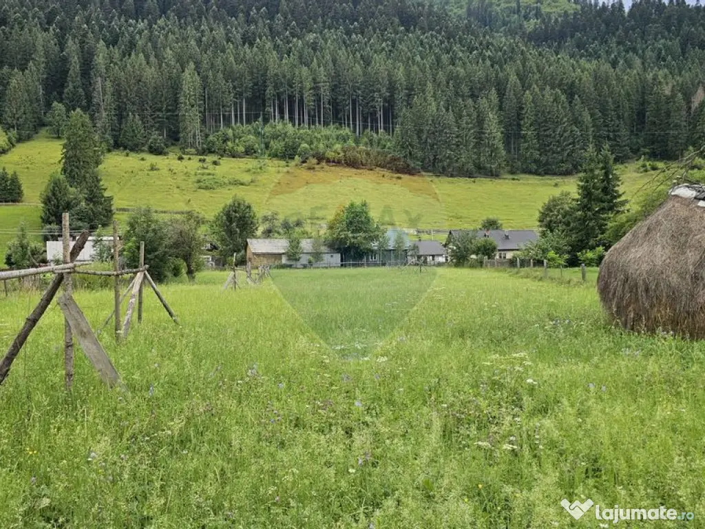 Casa 225 mp, teren intravilan 4822 mp C. Moldovenesc, Suc... 