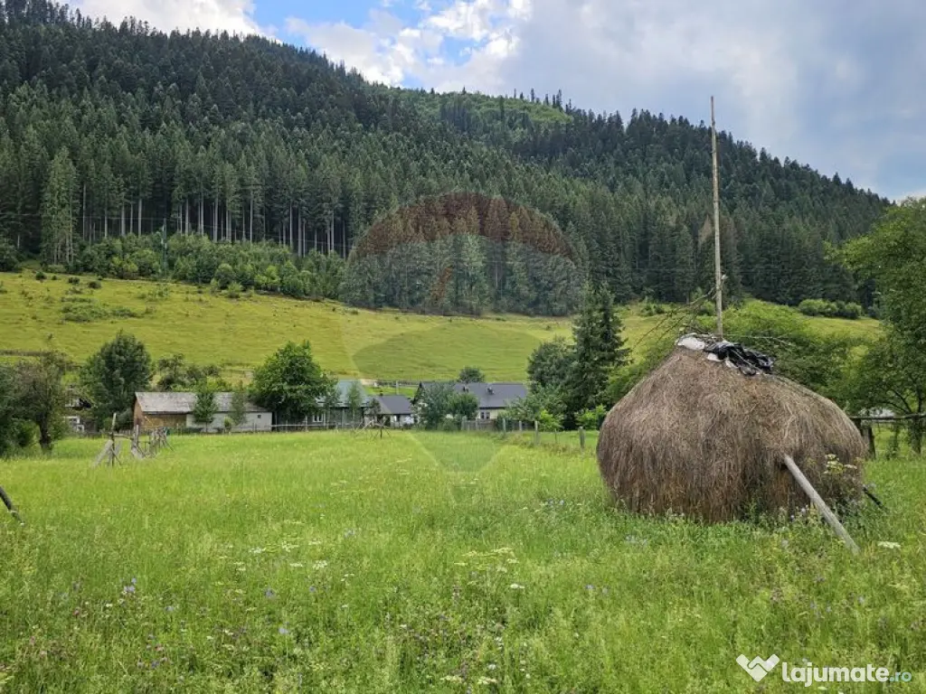 Casa 225 mp, teren intravilan 4822 mp C. Moldovenesc, Suc... 