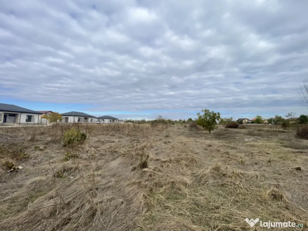 Domnești, Drumul Târgului, teren 1876 mp, 66ml x 28 ml, se 