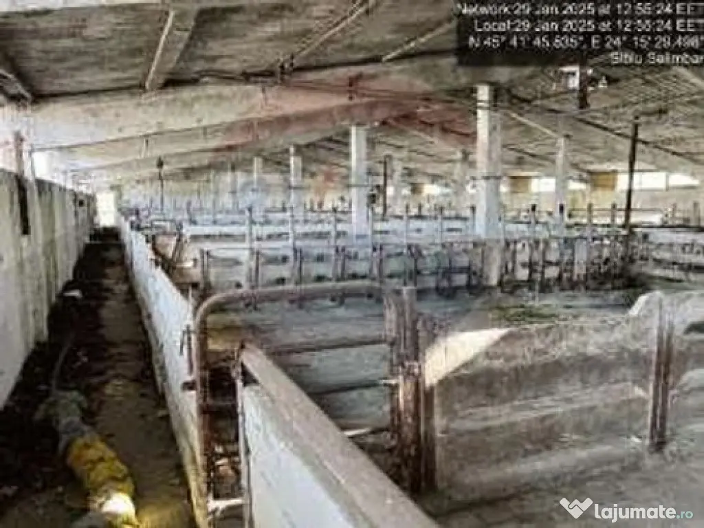 Fermă zootehnică funcțională, cu teren generos și ac... 