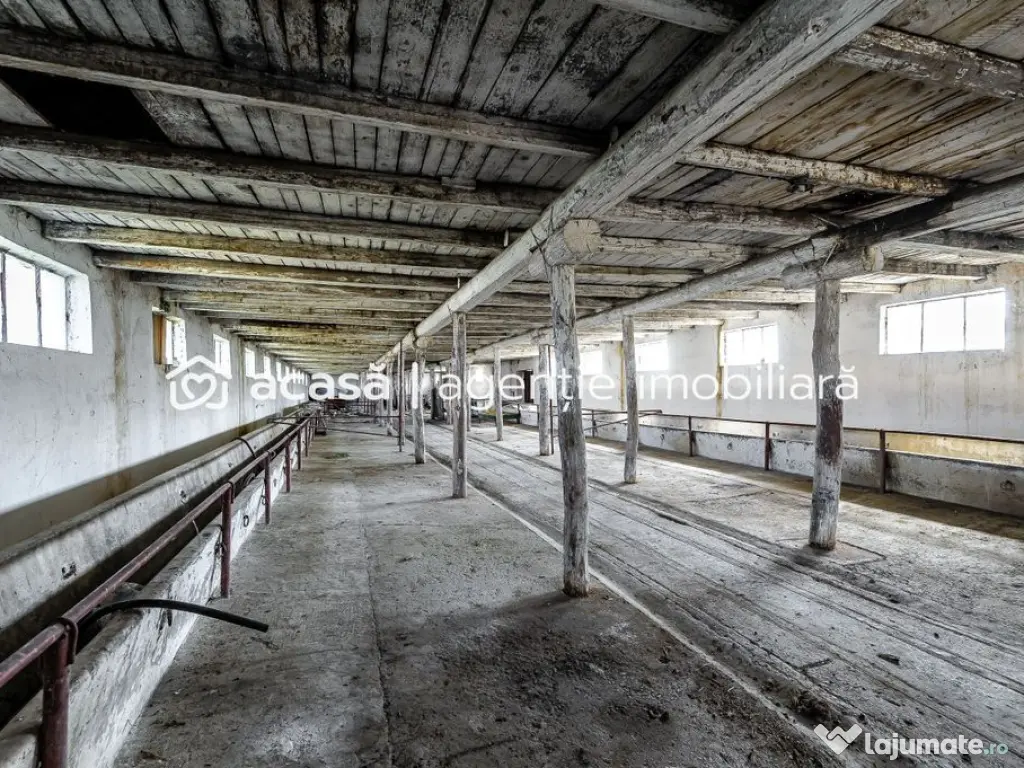 Fermă Mândruloc 2,5 ha 