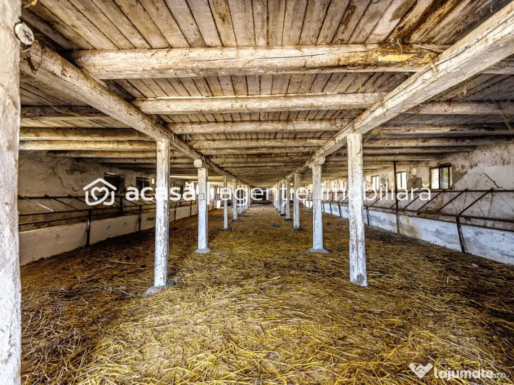 Fermă Mândruloc 2,5 ha 