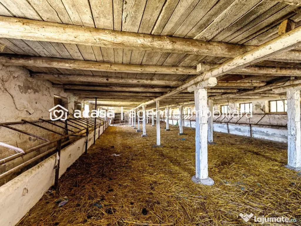 Fermă Mândruloc 2,5 ha 