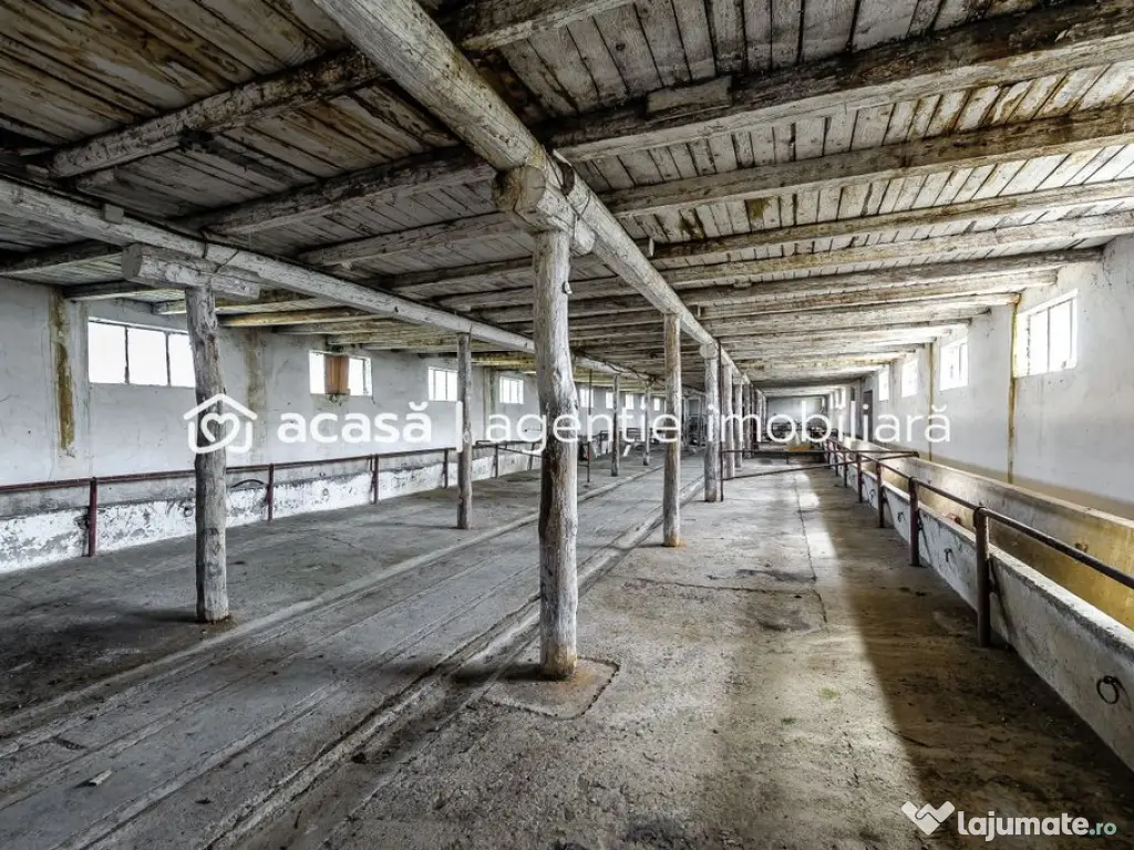 Fermă Mândruloc 2,5 ha 