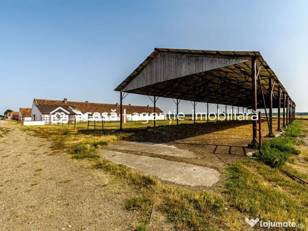 Fermă Mândruloc 2,5 ha 