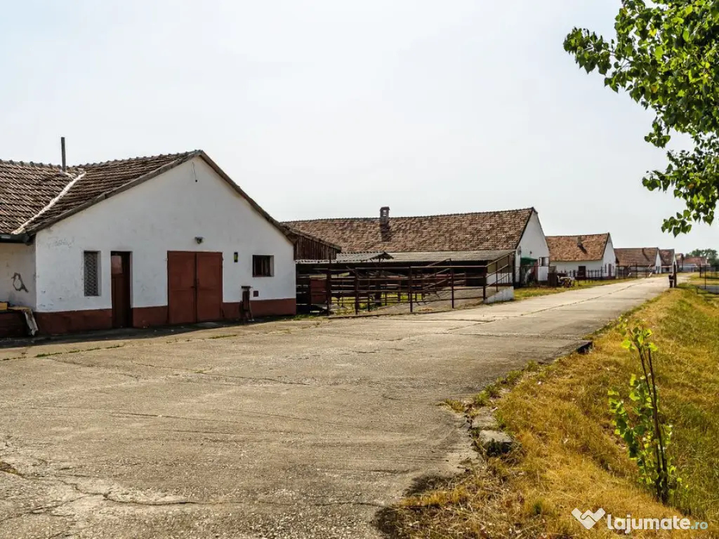 Fermă Mândruloc 2,5 ha 