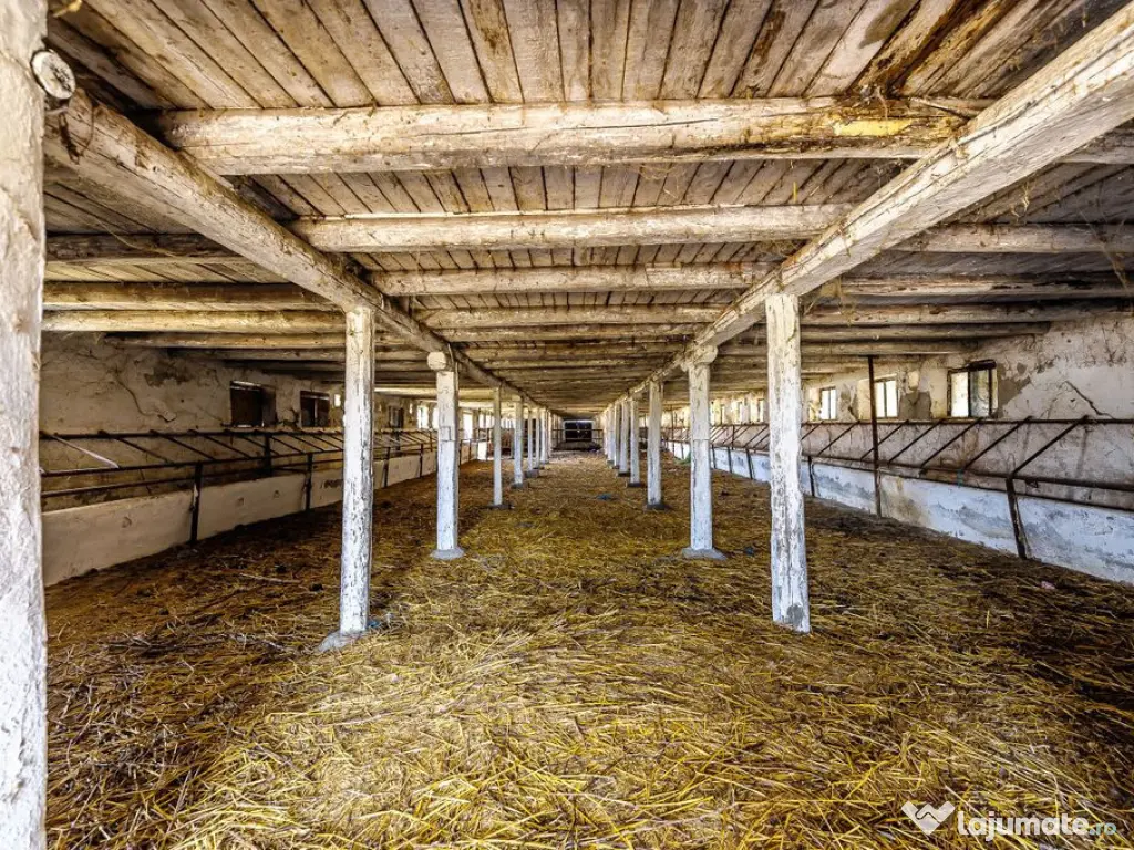 Fermă Mândruloc 2,5 ha 