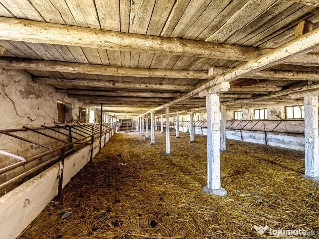 Fermă Mândruloc 2,5 ha 