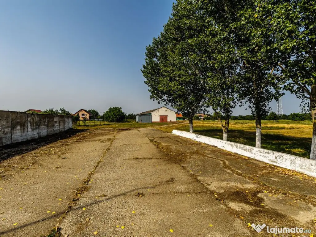 Fermă Mândruloc 2,5 ha 