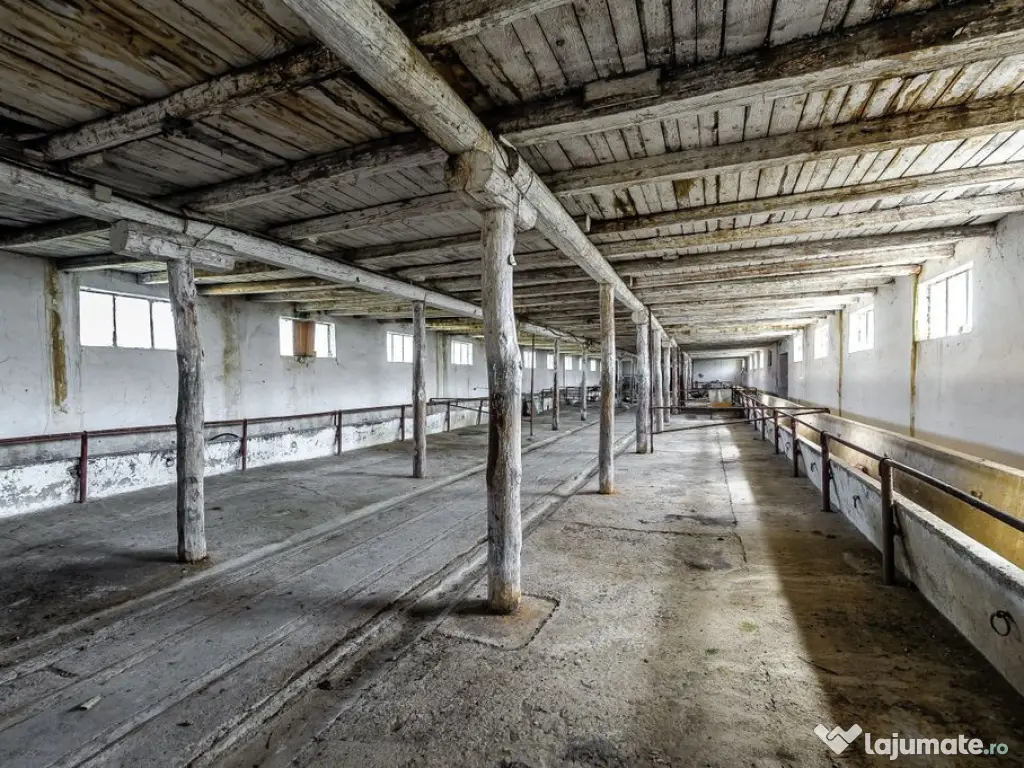 Fermă Mândruloc 2,5 ha 