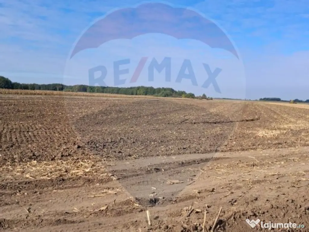 Teren 21,177mp Santaul Mic / Strada - 