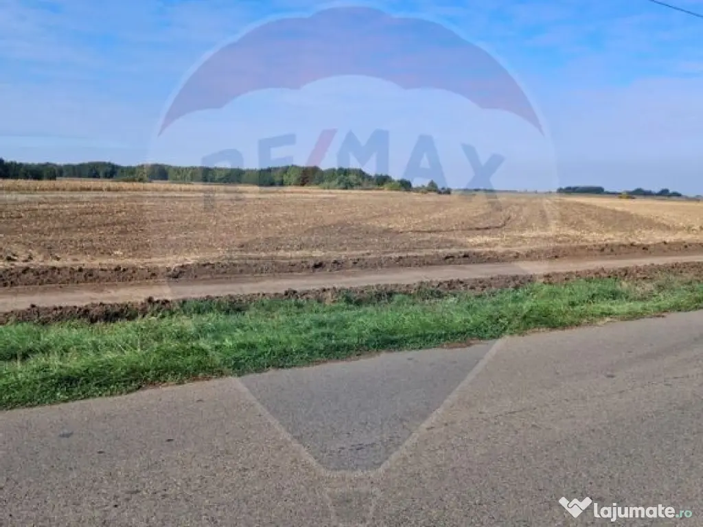 Teren 21,177mp Santaul Mic / Strada - 