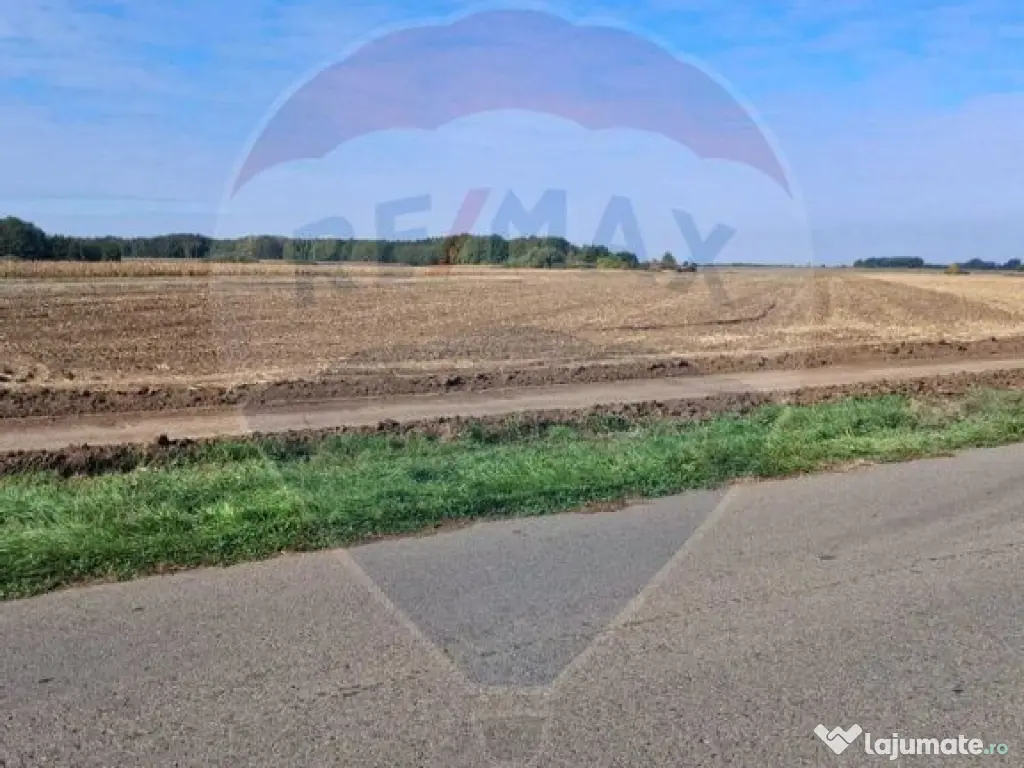 Teren 21,177mp Santaul Mic / Strada -