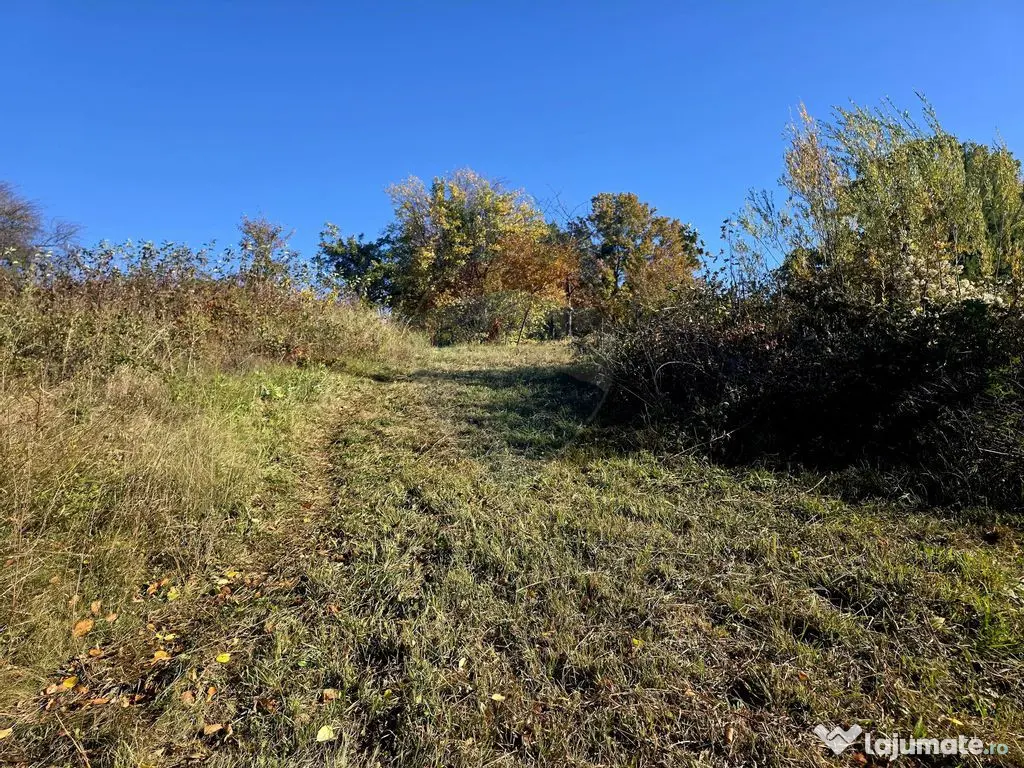 Casă / Vilă cu 5 camere de vânzare 