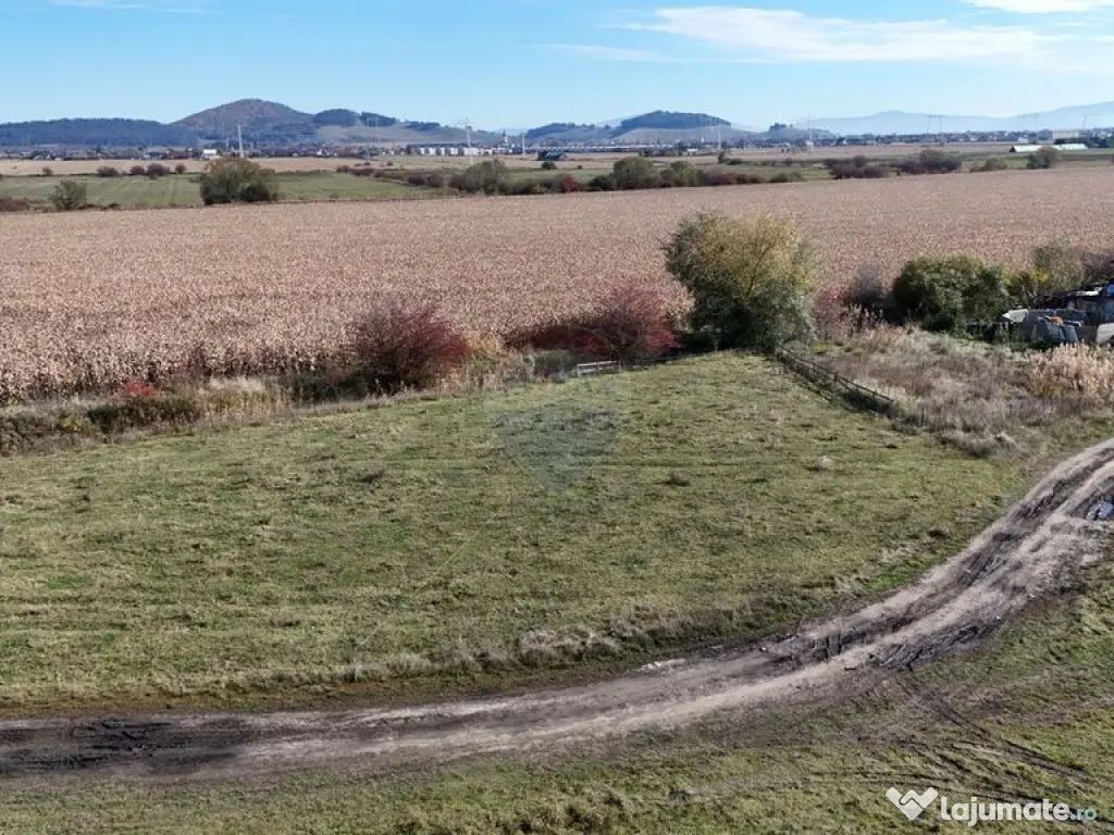 Comision 0% | Teren intravilan 600 mp | SANPETRU