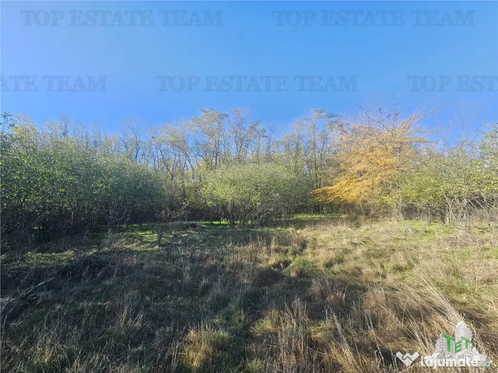 SUPER-PRET Teren 1ha intravilan intre A0, padure si raul Sab