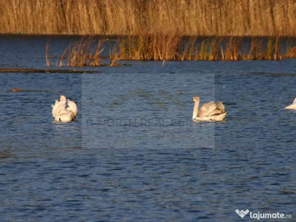 Reședință exclusivistă cu deschidere la Lacul Scrovi?...