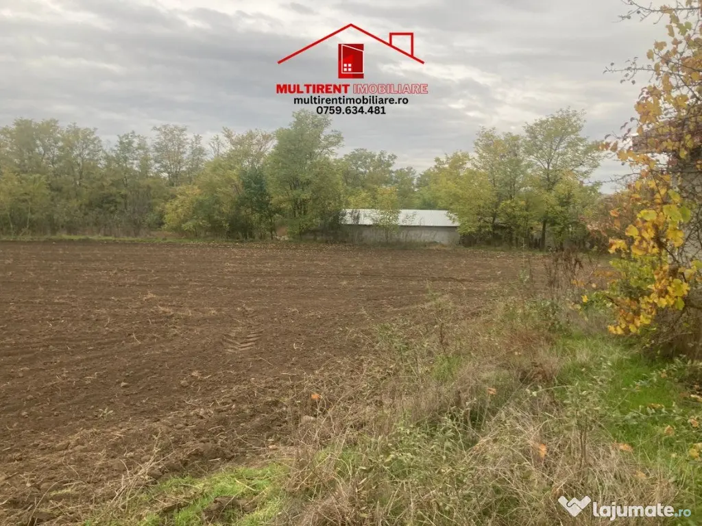 Teren cu casa de vanzare in Randunica (Mihail Kogalniceanu) Tulcea!
