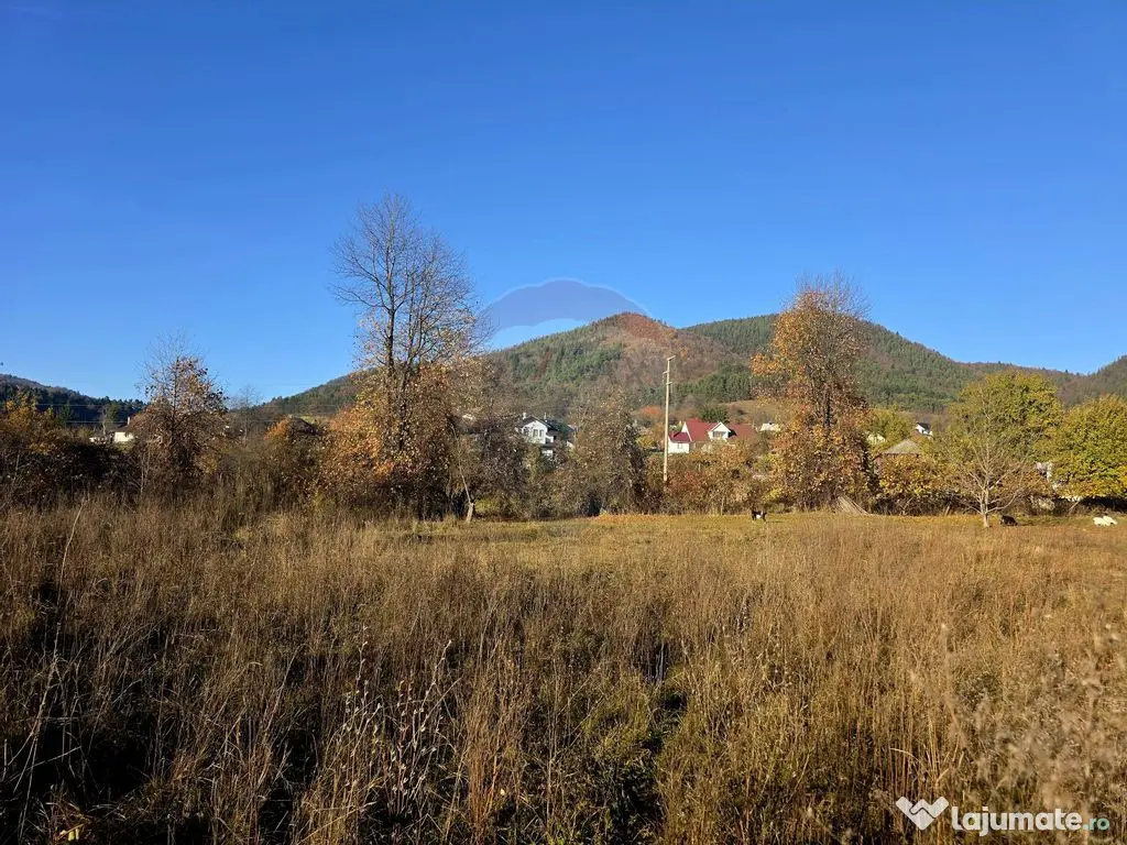 Teren 6,874mp Alexandru cel Bun / Strada plopusor