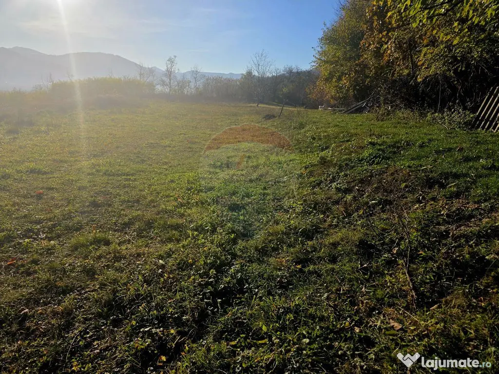 Teren 6,874mp Alexandru cel Bun / Strada plopusor