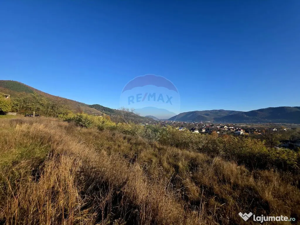 Teren 6,874mp Alexandru cel Bun / Strada plopusor