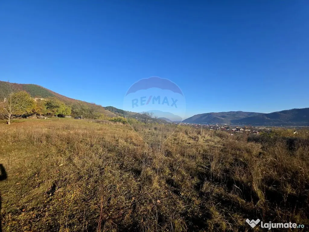 Teren 6,874mp Alexandru cel Bun / Strada plopusor