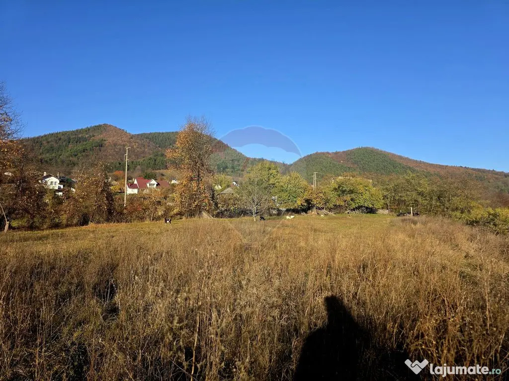 Teren 6,874mp Alexandru cel Bun / Strada plopusor