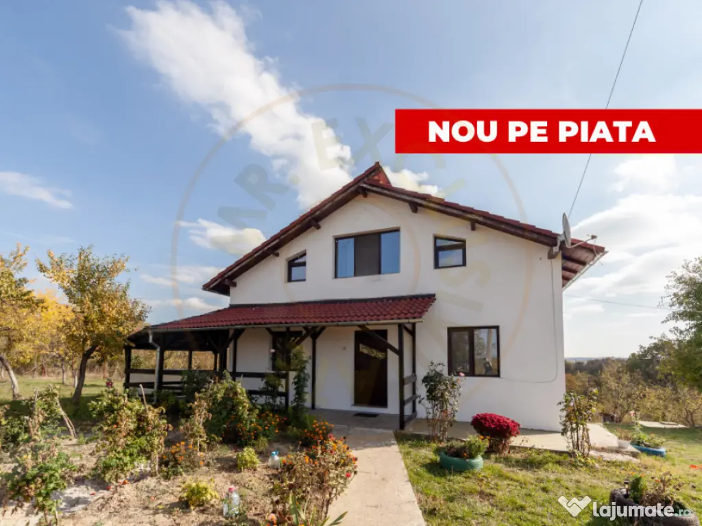 Casa P+M cu teren 2788 mp COCU -RACHITELE ARGES 