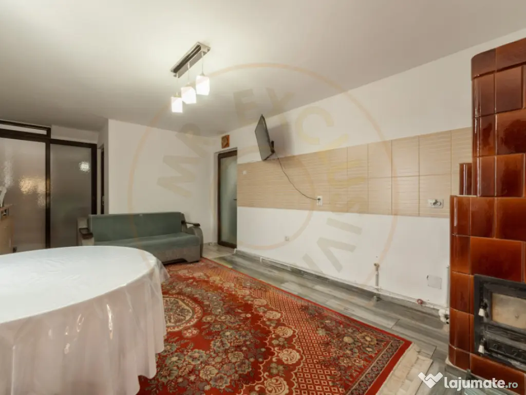 Casa P+M cu teren 2788 mp COCU -RACHITELE ARGES 