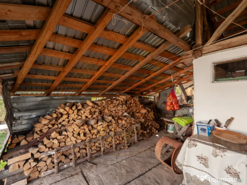 Casa P+M cu teren 2788 mp COCU -RACHITELE ARGES 