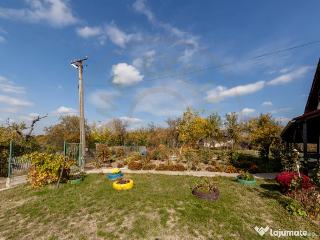 Casa P+M cu teren 2788 mp COCU -RACHITELE ARGES 