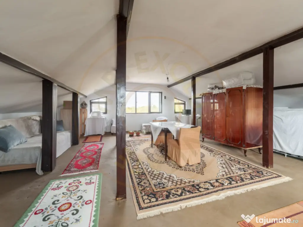 Casa P+M cu teren 2788 mp COCU -RACHITELE ARGES 