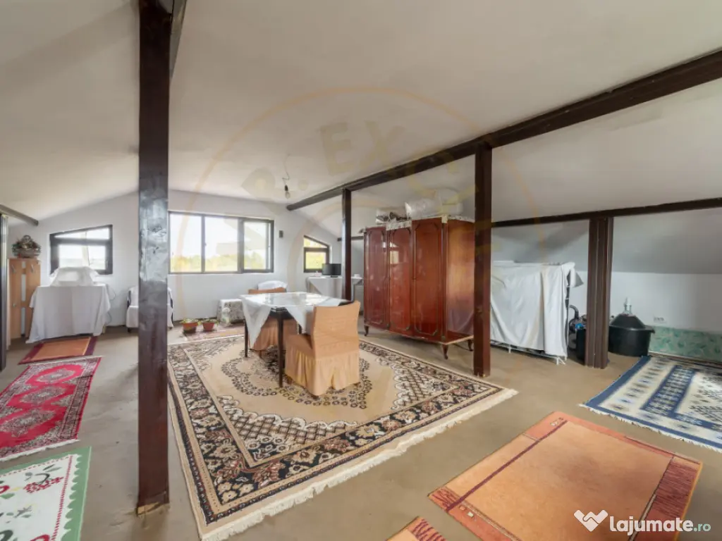 Casa P+M cu teren 2788 mp COCU -RACHITELE ARGES 