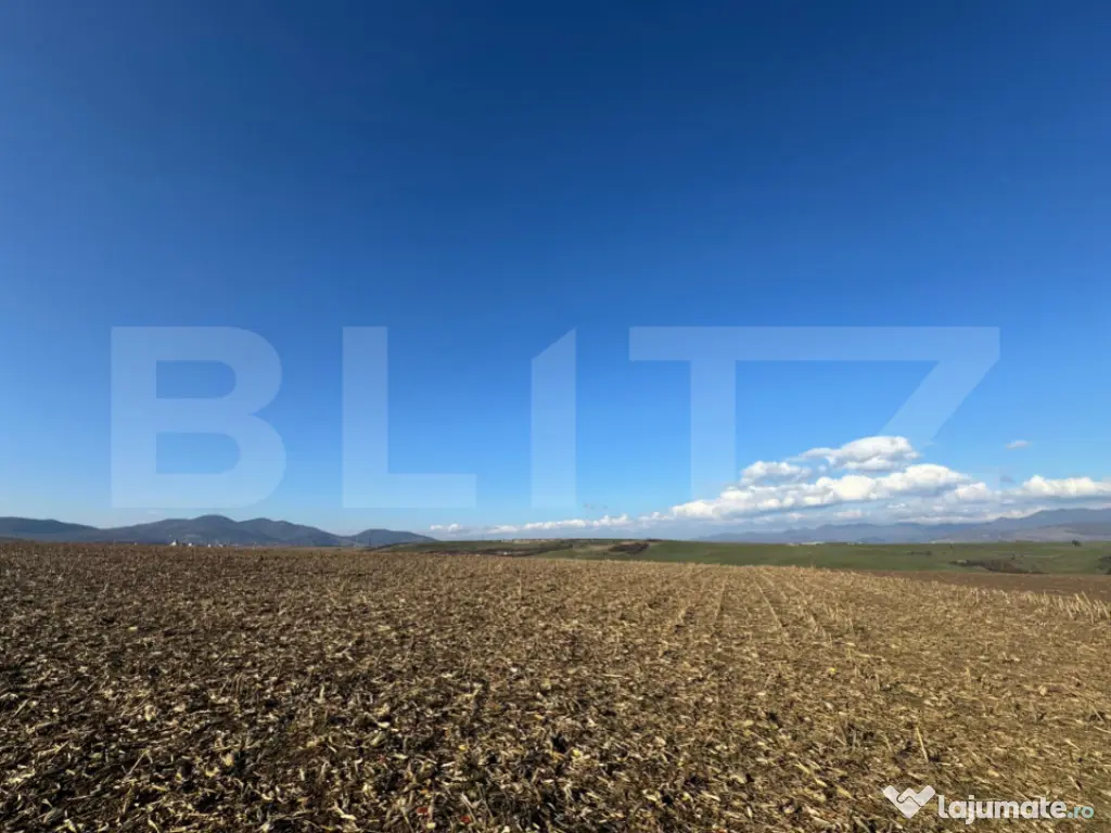 Teren extravilan agricol 5700 mp, Cristur