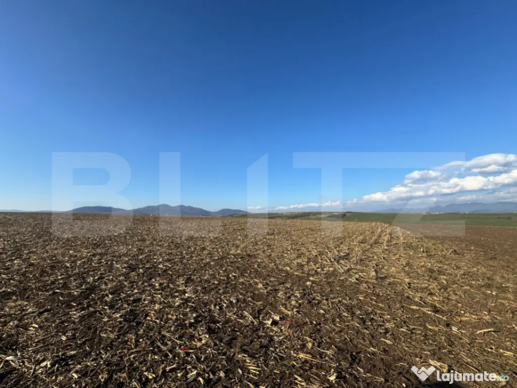 Teren extravilan agricol 5700 mp, Cristur