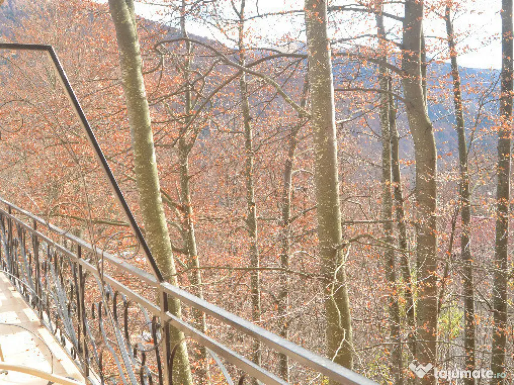 Sinaia-De vanzare pensiune cu 18 camere functionala 