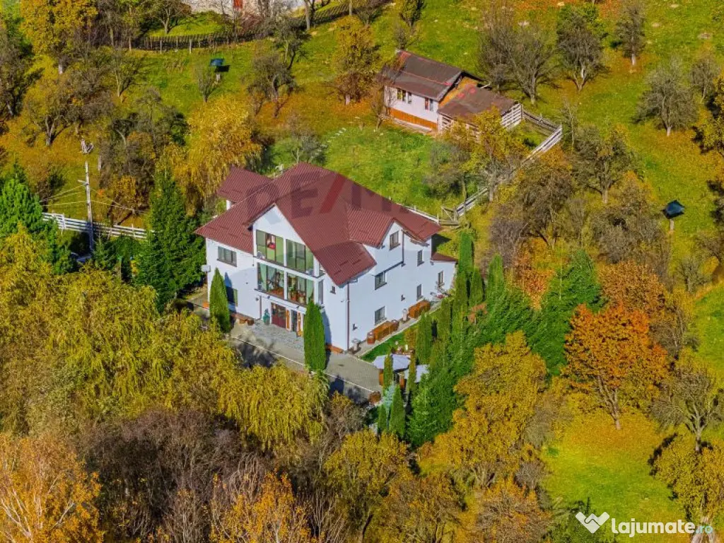 Pensiunea Scărișoara – Refugiul din Inima Rucărului ... 