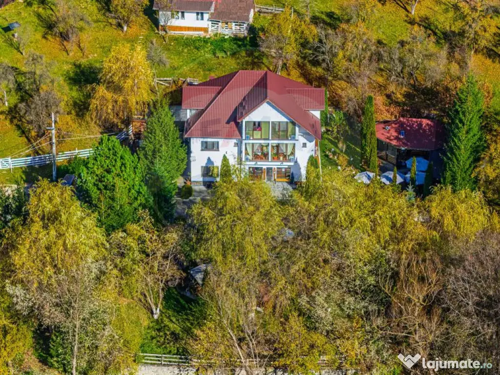 Pensiunea Scărișoara – Refugiul din Inima Rucărului ... 