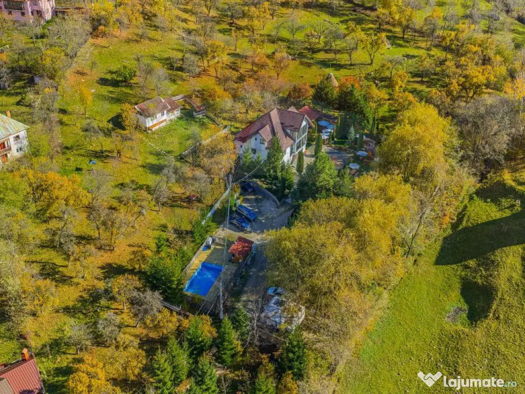 Pensiunea Scărișoara – Refugiul din Inima Rucărului ... 