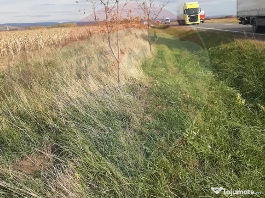 De vânzare teren intravilan, în Săbolciu, cu deschider...