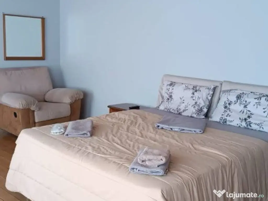 Garsoniera de inchiriat in zona Ferdinad