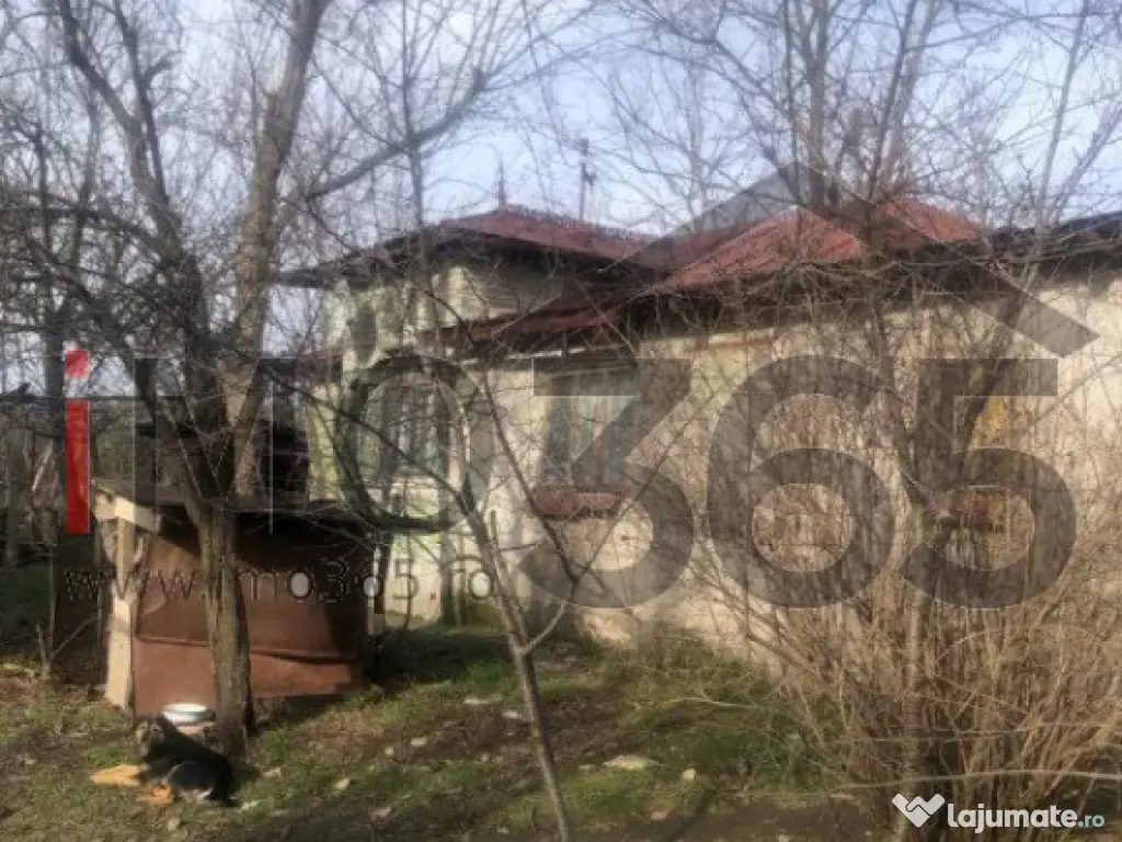 Casa demolabila si teren 3758mp intravilan Rociu Gliganu 