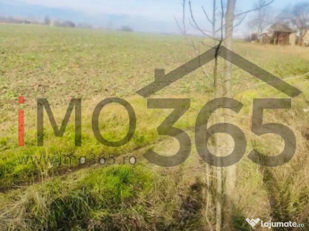 Casa demolabila si teren 3758mp intravilan Rociu Gliganu 