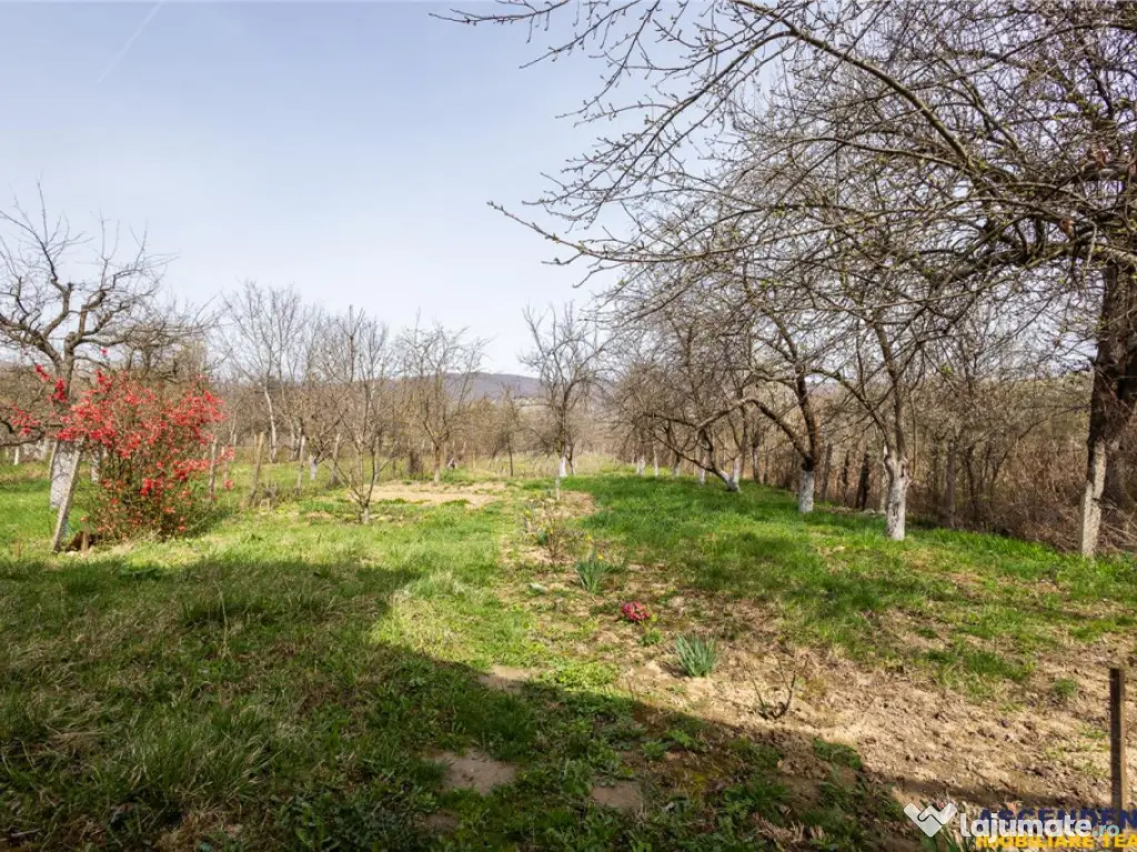 FILM! Casa pe domeniu de 3.117 mp, Viperesti Buzau