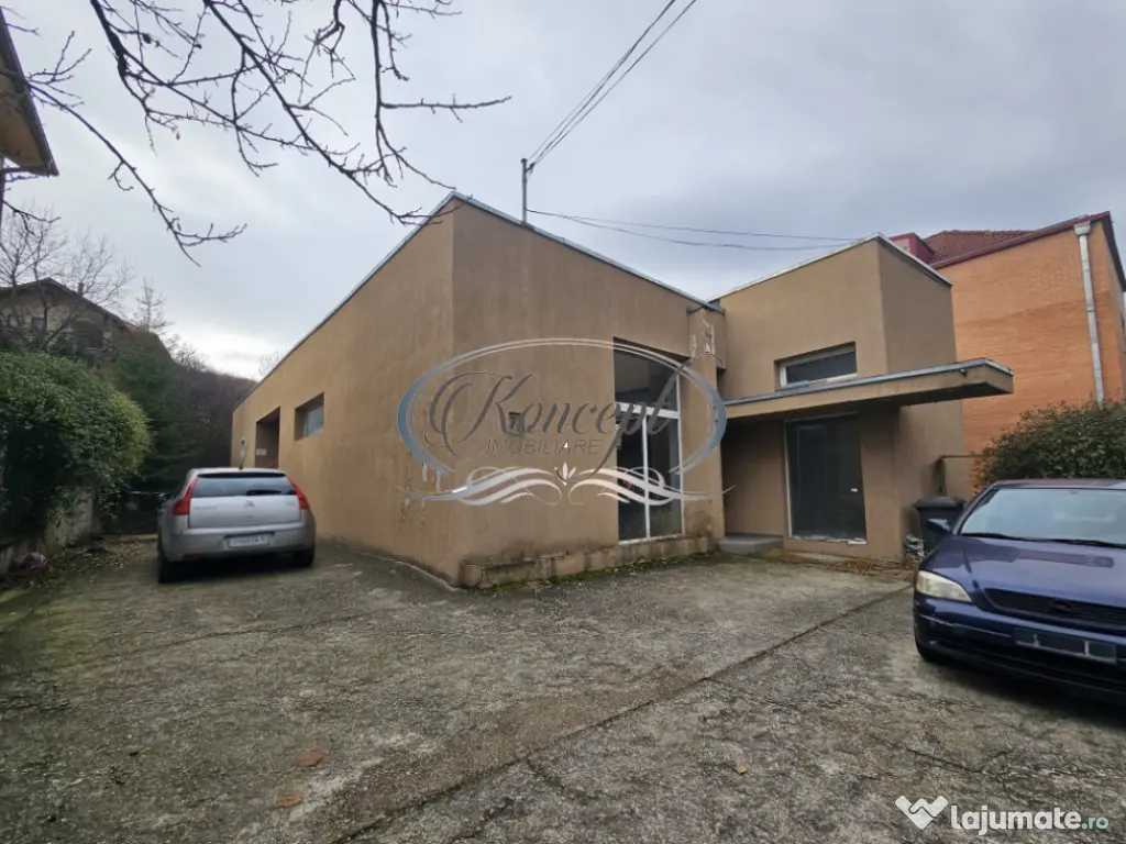 Spatiu comercial cu inaltime mare si curte proprie in Manast 