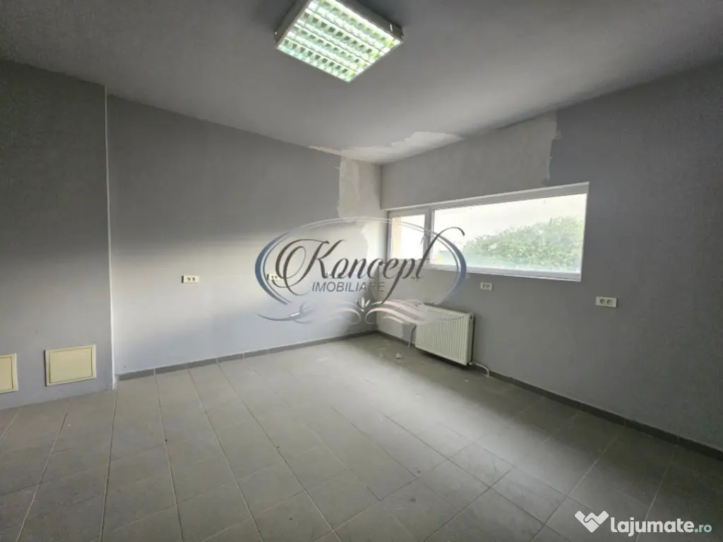 Spatiu comercial cu inaltime mare si curte proprie in Manast 